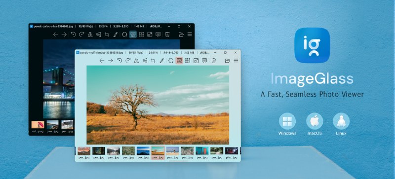 GitHub - d2phap/ImageGlass: 🏞 A fast, open-source, modern image viewer for 90+ formats – including WEBP, GIF, SVG, AVIF, JXL, HEIC…