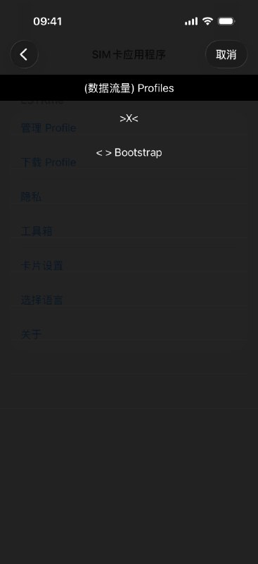 根据ESTKme文档，在满足条件特定下，iPhone可以直接向白卡写入esim profile在 iPhone 中使用 ESTKme 卡片提供的 “SIM 卡应用程序” 须符合如下条件：* 运行 iOS 16 或更新的 iOS 版本 1* iPhone 12 或更新的 iPhone 型号* 运营商锁状态为 “无 SIM 卡限制” 2*具有实体 SIM 卡槽的 iPhone 型号 3* 存在Bootstrap profile 且Bootstrap 服务的有效期为激活后的 365 个日历日